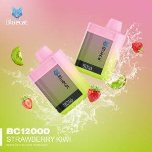 Blue cat 12,000 Puffs Rechargeable Disposable (Strawberry Kiwi)