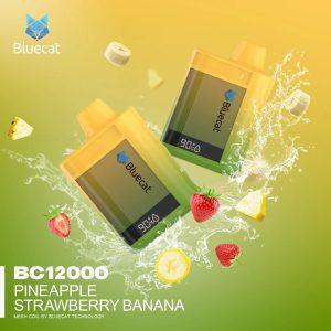 Blue cat 12,000 Puffs Rechargeable Disposable (Pineapple Strawberry Banana)