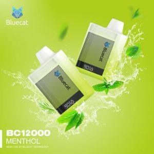 Blue cat 12,000 Puffs Rechargeable Disposable (Menthol)